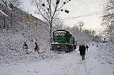 IMG_6667.jpg